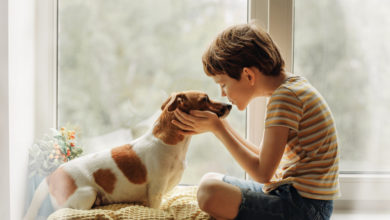 Photo of Hund und Kind: Tipps für ein unbeschwertes Zusammenleben