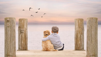 Photo of Familienurlaub mit Hund: Was sollte beachtet werden?