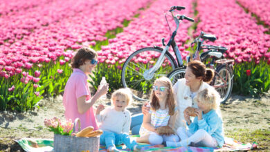 Photo of Den perfekten Familienurlaub in den Niederlanden mit einem kleinen Budget planen