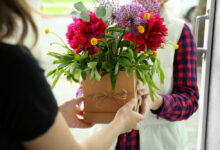 Photo of Ein Geschenk, das wächst und gedeiht