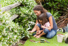 Photo of Gartenarbeit als Familienprojekt: Spaß und Nutzen vereinen