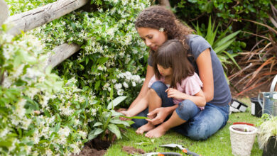 Photo of Gartenarbeit als Familienprojekt: Spaß und Nutzen vereinen